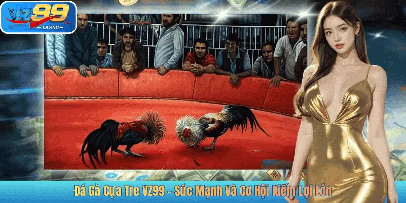 Đá Gà Cựa Tre VZ99 – Sức Mạnh Và Cơ Hội Kiếm Lợi Lớn