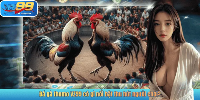 Đá gà thomo VZ99 có gì nổi bật thu hút người chơi?